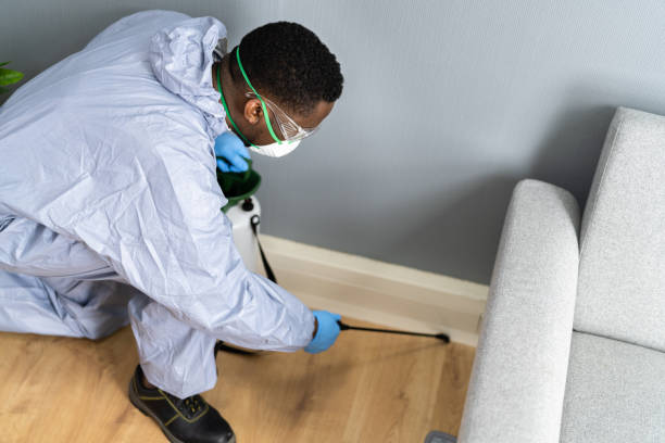 Best Termite Inspection and Treatment  in Weidman, MI